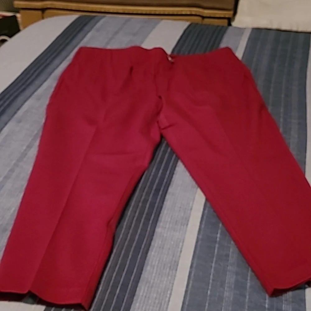 Chico's Ponte Stretch Pants, Size 4, Red/Wine Color - Picture 2 of 6